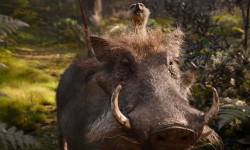 Nowy klip Król Lwa (2019)  prezentuje Timona i Pumbę