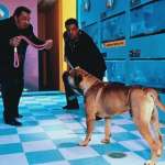 Joe Viterelli, Steve Schirripa