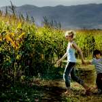 Petra Schmidt-Schaller, Rafael Koussouris