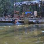 Jennifer Lopez, Ice Cube