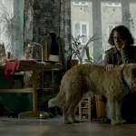 Małgorzata Hajewska-Krzysztofik