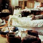 Charles Grodin, Bonnie Hunt