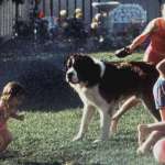 Nicholle Tom, Christopher Castile, Sarah Rose Karr