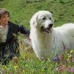 F&eacute;lix Bossuet