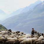 F&eacute;lix Bossuet