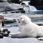 F&eacute;lix Bossuet