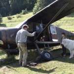 F&eacute;lix Bossuet, Thierry Neuvic