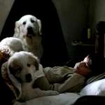 F&eacute;lix Bossuet