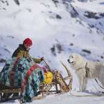 F&eacute;lix Bossuet