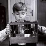 Thibault S&eacute;ri&eacute;