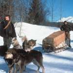 Klaus Maria Brandauer, Ethan Hawke