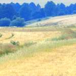 Michał Kiełbasiński