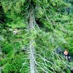 Wiesław Macherzyński, Michał Kiełbasiński