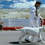 Walter Donado, Juan Villegas