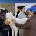 Walter Donado, Juan Villegas