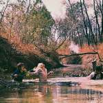 Michael J. Pollard, Faye Dunaway, Warren Beatty