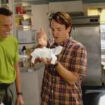 Will Forte, Will Arnett