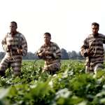 Tim Blake Nelson, George Clooney, John Turturro