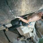 Alex Honnold