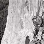 Royal Robbins