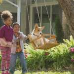 Brooke Warrington, Treyton Augustus Walcot