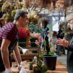 Woody Allen, John Turturro