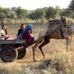 Lara Dutta, Vinay Pathak