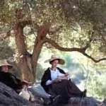 Danuta Stenka, Piotr Adamczyk