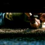 Matthias Schoenaerts