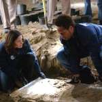 Jorja Fox, Gary Dourdan