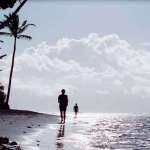 Nicolas Robin, Adrien Jolivet