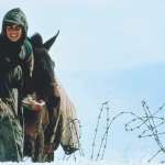 Madi Ekhtiar-dini, Ayoub Ahmadi