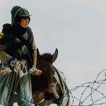 Madi Ekhtiar-dini, Ayoub Ahmadi