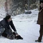 Jeffrey Donovan, Clara Lago, Matthew Fox