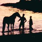 Mel Gibson, Nick Stahl