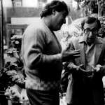 Woody Allen, Nick Apollo Forte