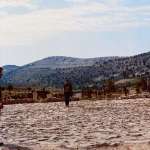 Clint Eastwood, Eli Wallach, Lee Van Cleef