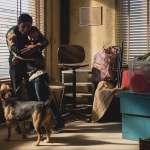 Alida Baldari Calabria, Marcello Fonte