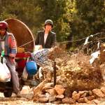 Ali Haidar, Kevin Abboud