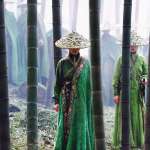 Dandan Song, Ziyi Zhang