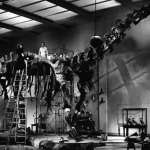 Cary Grant, Katharine Hepburn