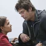 Benicio del Toro, Halle Berry