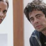 Benicio del Toro, Halle Berry