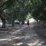 Alex Silberg, Yuval Saragusi