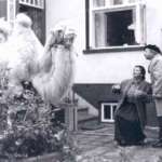 Anna Dymna, Jerzy Stuhr