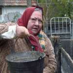 Piroska Moln&aacute;r