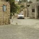 Melia Kreiling, Orestis Sofokleous