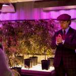 Matthew McConaughey, Jeremy Strong