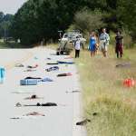 Jason Drucker, Charlie Wright, Alicia Silverstone, Tom Everett Scott