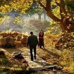 Hazar Erg&uuml;cl&uuml;, Dogu Demirkol